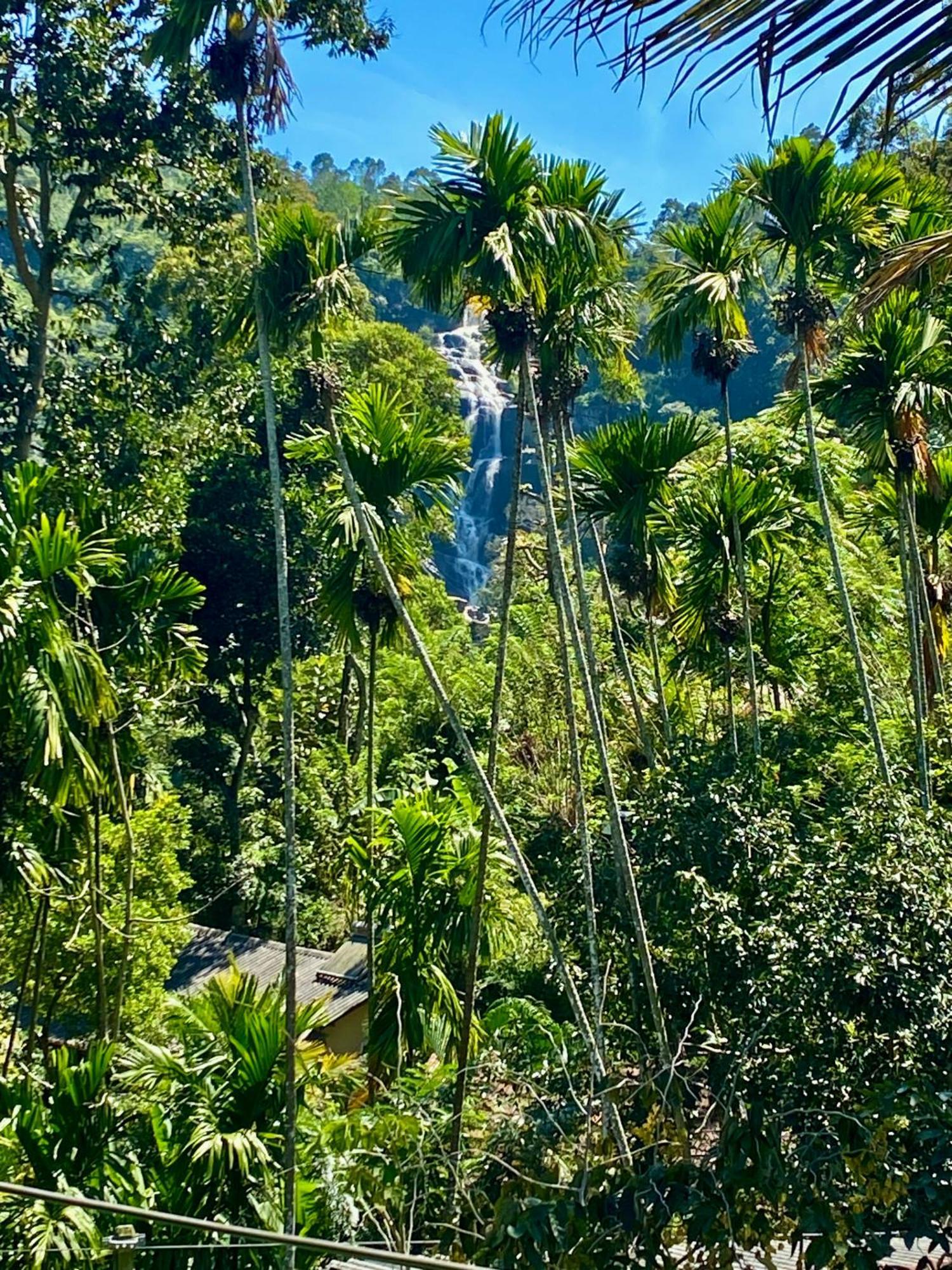 Cozy Homestay Waterfall Road Элла Экстерьер фото