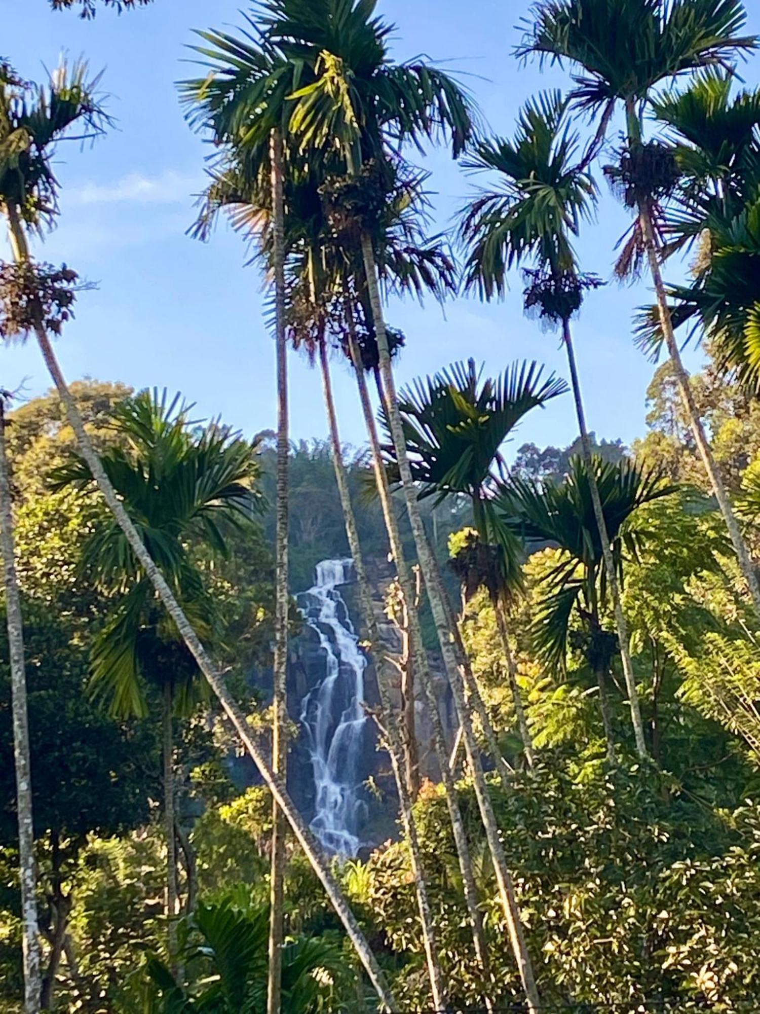 Cozy Homestay Waterfall Road Элла Экстерьер фото